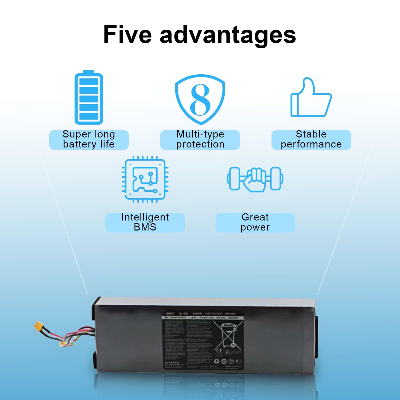Amazon.com : PAOWANG Battery for Segway Ninebot Electric Kick